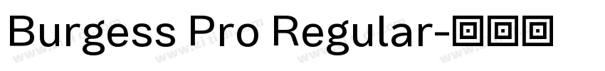 Burgess Pro Regular字体转换